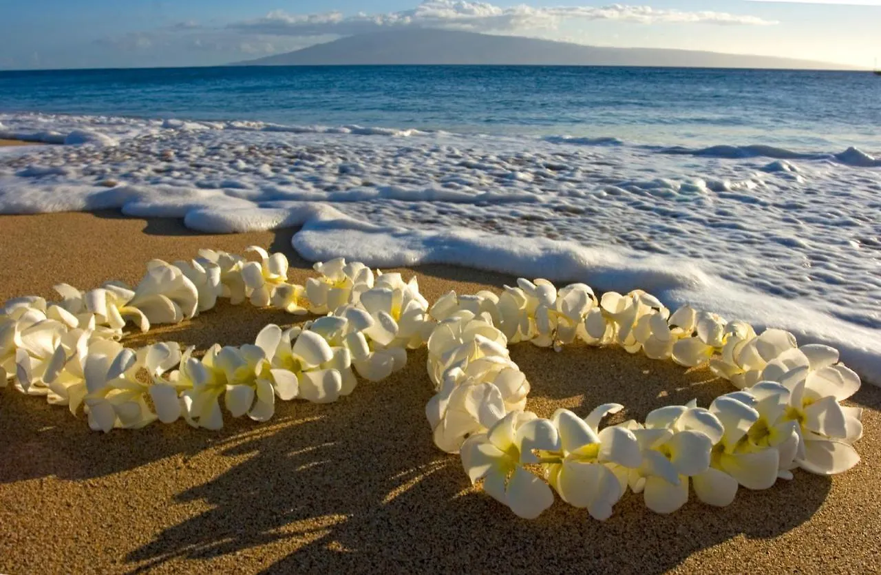 Aloha Vibes Await! Stylish Condo At Aloha Surf - Mountain And City Views Honolulu